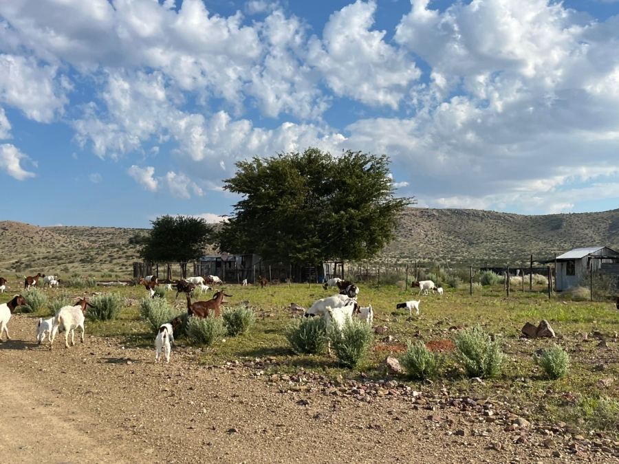 0 Bedroom Property for Sale in Upington Rural Northern Cape